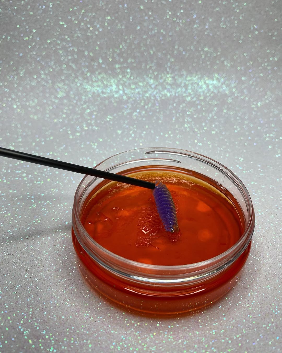 Liora Elysse Kaş Sabitleyici & Şekillendirici Wax